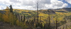 Flat Tops Fall
